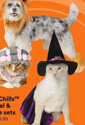 Petsmart Thrills & chills™ apparel & costume sets offer