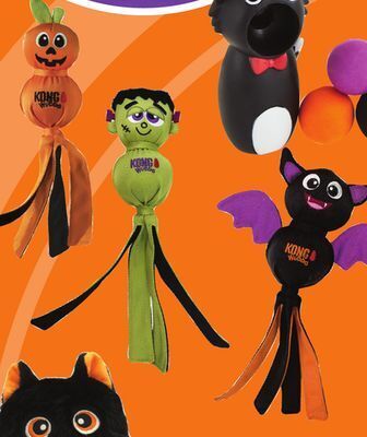 Petsmart Kong® toys offer