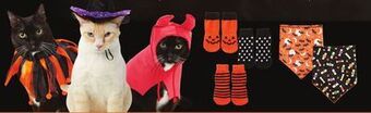 Petsmart Halloween accessories offer
