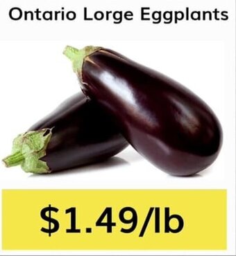 Oma Fresh Foods Ontario Lorge Eggplants offer