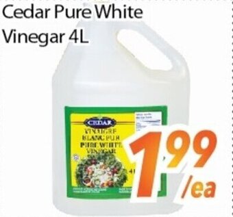 Bestco Food Mart Cedar Pure White Vinegar 4L offer