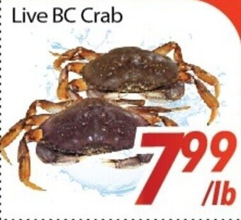 Bestco Food Mart Live BC Crab offer