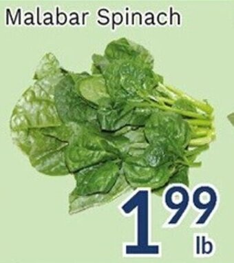 Oceans Fresh Food Market Malabar Spinach offer