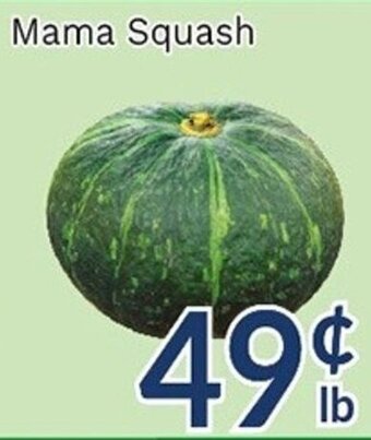 Oceans Fresh Food Market Mama Squash offer