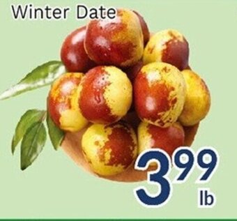 Oceans Fresh Food Market Winter Date offer