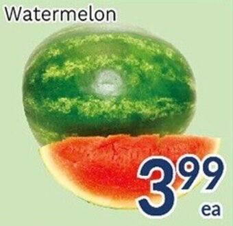 Oceans Fresh Food Market Watermelon offer