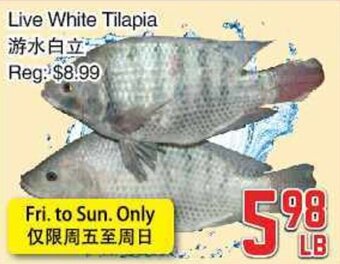 Foody Mart Live White Tilapia offer