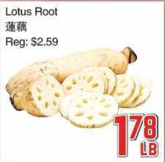Foody Mart Lotus Root offer