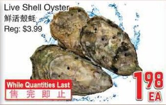 Foody Mart Live Shell Oyster offer