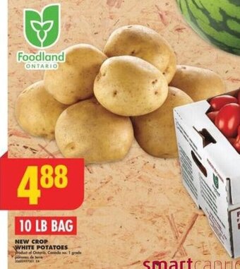 No Frills NEW CROP WHITE POTATOES offer