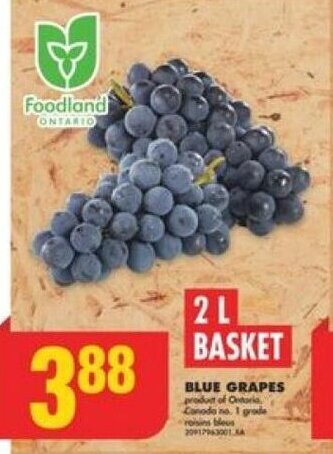 No Frills BLUE GRAPES offer