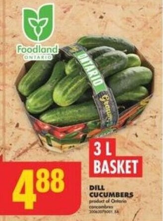 No Frills DILL CUCUMBERS offer