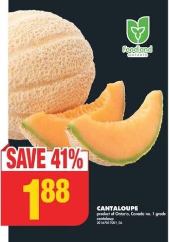 No Frills CANTALOUPE offer