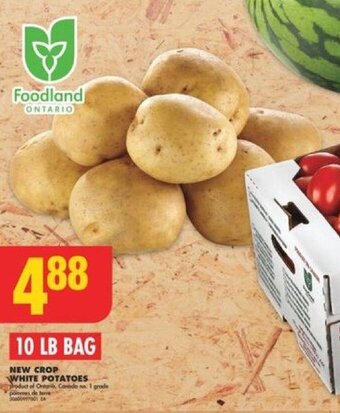 No Frills NEW CROP WHITE POTATOES offer