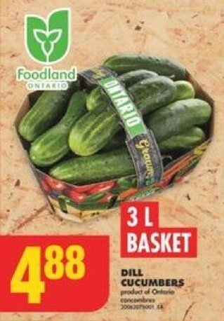 No Frills DILL CUCUMBERS offer