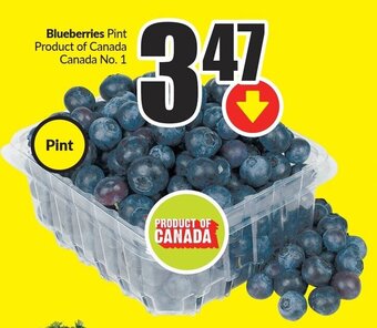 FreshCo Blueberries Pint offer