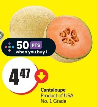 FreshCo Cantaloupe offer