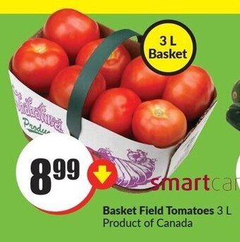 FreshCo Basket Field Tomatoes 3 L offer