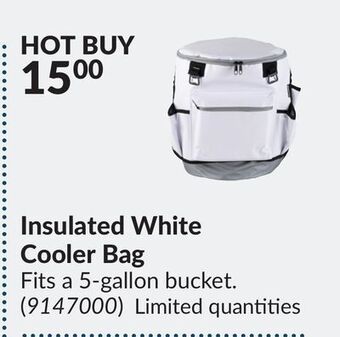 Princess Auto Insulated white cooler bag offer