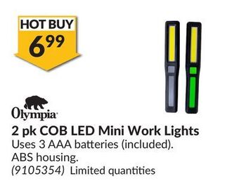 Princess Auto 2 pk cob led mini work lights offer