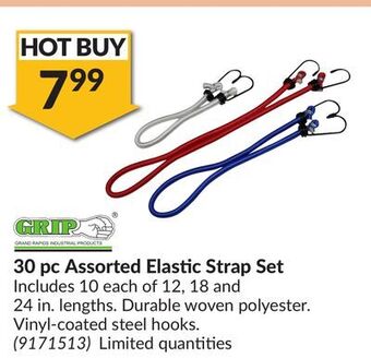 Princess Auto 30 pc assorted elastic strap set offer