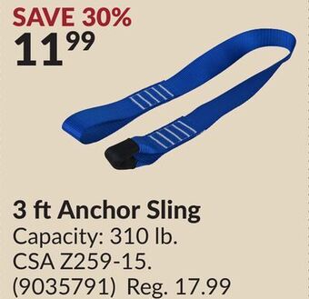 Princess Auto 3 ft anchor sling offer