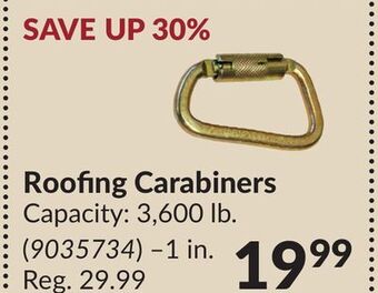 Princess Auto Roofing carabiners offer