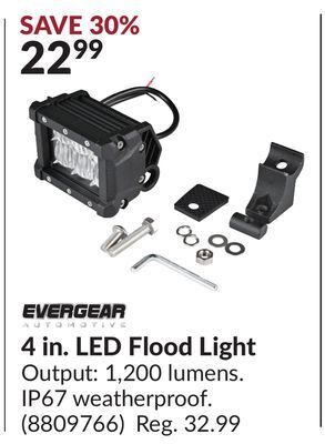 Princess Auto 4 in. led flood light offer