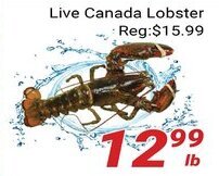 Nations Fresh Foods Live Canada Lobster offer