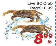Nations Fresh Foods Live BC Crab offer
