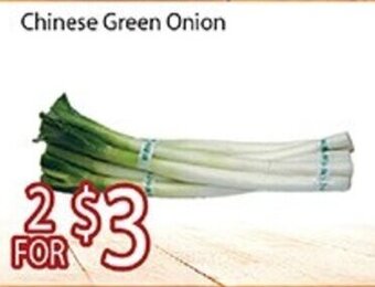 Nations Fresh Foods Chinese Green Onion offer