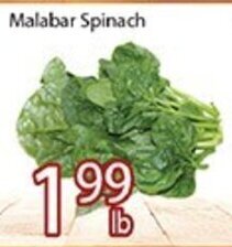 Nations Fresh Foods Malabar Spinach offer