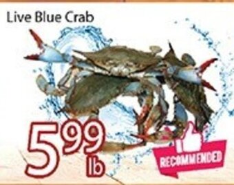 Nations Fresh Foods Live Blue Crab offer