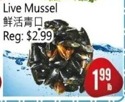 Ethnic Supermarket Live Mussel offer