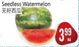 Seedless Watermelon