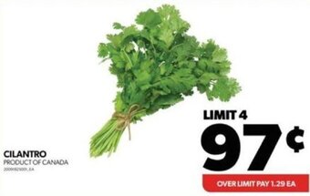 Real Canadian Superstore CILANTRO offer