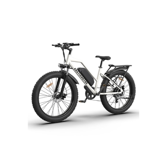 Best Buy Aostirmotor electric bike s07-g,750w electirc mountain bike,26 inch ebike offer