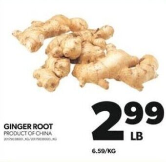 Real Canadian Superstore GINGER ROOT offer