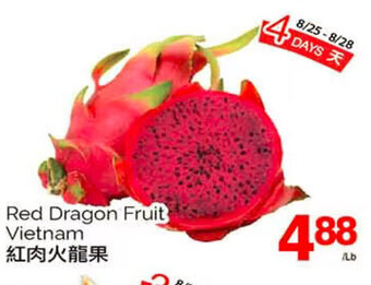 T&T Supermarket Red Dragon Fruit offer