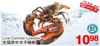 T&T Supermarket Live Canner Lobster offer