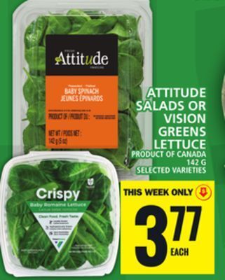 Food Basics Attitude salads or vision greens lettuce offer