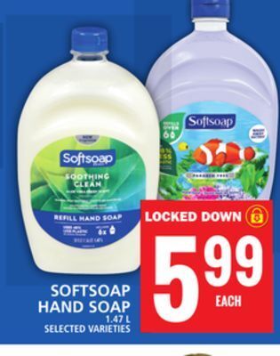 Food Basics Softsoap hand soap offer