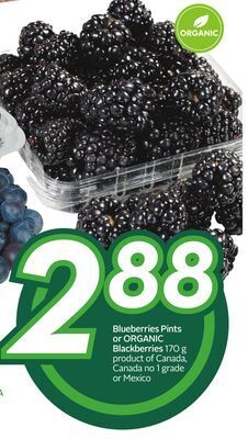 Sobeys Blueberries pints or organic blackberries offer
