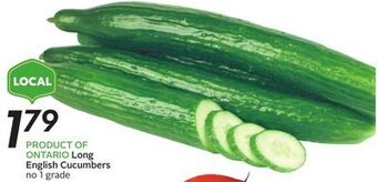 Sobeys Long english cucumbers offer