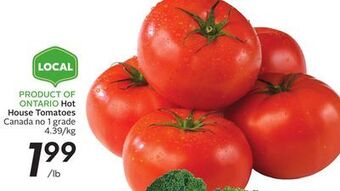 Sobeys Hot house tomatoes offer