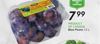 Sobeys Blue plums offer