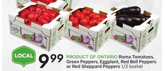 Sobeys Roma tomatoes, green peppers, eggplant, red bell peppers or red sheppard peppers offer