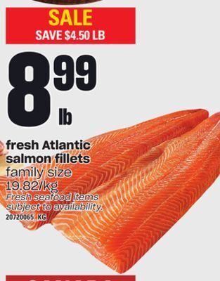 Fresh atlantic salmon fillets