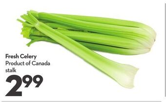Longo's Fresh celery offer