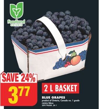 No Frills Blue grapes, 2 l basket offer